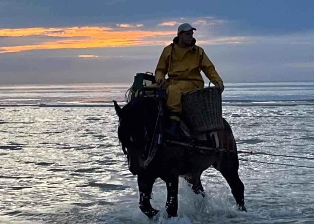 Dunenestje Oostduinkerke Bagian luar foto